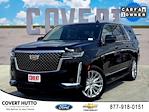 2023 Cadillac Escalade ESV RWD SUV for sale #FP7294 - photo 1