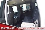 New 2025 Chevrolet Silverado 1500 LT Crew Cab Pickup for sale #176572 - photo 15