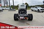 New 2025 Chevrolet LCF 4500 Regular Cab Cab Chassis for sale #203166 - photo 8