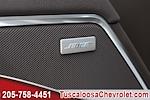 New 2025 Chevrolet Silverado 1500 LTZ Crew Cab 4x4 Pickup for sale #333465 - photo 14