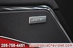 New 2025 Chevrolet Silverado 1500 LT Crew Cab 4x4 Pickup for sale #393468 - photo 13