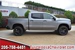 New 2025 Chevrolet Silverado 1500 LT Crew Cab 4x4 Pickup for sale #393470 - photo 10