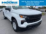 2025 Chevrolet Silverado 1500 Regular Cab 2WD Pickup for sale #G132796 - photo 1
