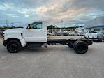 2024 Chevrolet Silverado 6500 Regular Cab DRW 2WD, Cab Chassis for sale #H366348 - photo 5