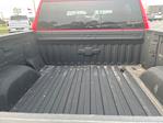 2024 Chevrolet Silverado 1500 Crew Cab 4WD Pickup for sale #P29611 - photo 11