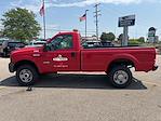 2006 Ford F-350 Regular Cab SRW 4x4 Pickup for sale #25J369A - photo 8