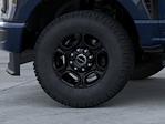 2025 Ford F-250 Regular Cab 4WD Pickup for sale #MF1296 - photo 19
