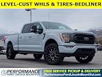 2022 Ford F-150 SuperCrew Cab 4WD Pickup for sale #42NKF01981A - photo 1