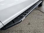 2023 Ford F-250 Crew Cab 4WD Pickup for sale #42PED94158 - photo 19