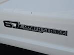 2024 Ford F-550 Regular Cab DRW 4WD Cab Chassis for sale #42RDA18627 - photo 16