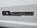 New 2025 Ford F-550 Regular Cab Cab Chassis for sale #42SDA02190 - photo 26