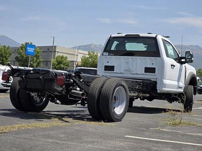 2025 Ford F-550 Regular Cab DRW 4WD Cab Chassis for sale #42SDA14971 - photo 2