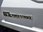 2025 Ford F-550 Crew Cab DRW 4WD Cab Chassis for sale #42SED41322 - photo 23