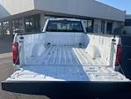 2025 Ford F-150 Regular Cab 4WD Pickup for sale #42SKF11991 - photo 23
