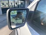 2025 Ford F-150 Regular Cab 4WD Pickup for sale #42SKF11991 - photo 29
