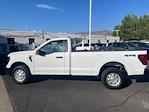 2025 Ford F-150 Regular Cab 4WD Pickup for sale #42SKF11991 - photo 8