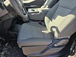New 2026 Ford F-150 XL Regular Cab for sale #42TKD03621 - photo 28