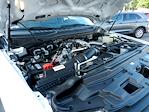 Used 2020 Ford F-250 XL Crew Cab 4x4 Pickup for sale #PT0296 - photo 23