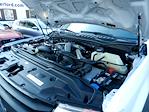 Used 2020 Ford F-250 XL Crew Cab 4x4 Pickup for sale #PT0296 - photo 24