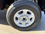 2025 Ford F-250 Regular Cab 4x4 Pickup for sale #TF831 - photo 25