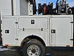 2017 Ford F-250 Regular Cab SRW 4x4 BrandFX Service Truck for sale #UH819 - photo 5