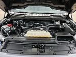 2023 Ford F-150 SuperCrew Cab RWD Pickup for sale #26T550B - photo 29