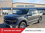 2024 Ford F-150 SuperCrew Cab 4x4 Pickup for sale #24FE1717 - photo 1