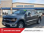 2024 Ford F-150 SuperCrew Cab 4x4 Pickup for sale #24FE1718 - photo 1