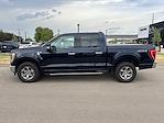 2021 Ford F-150 SuperCrew Cab 4x4 Pickup for sale #24FE1719A - photo 4