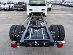 2024 Ford F-450 Regular Cab DRW 4x4, Cab Chassis for sale #24FE1798 - photo 2