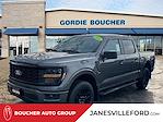 2024 Ford F-150 SuperCrew Cab 4x4 Pickup for sale #24FE1813 - photo 1