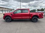 2025 Ford F-150 SuperCrew Cab 4x4 Pickup for sale #25FE0658 - photo 4