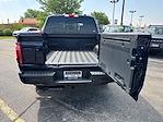 2025 Ford F-150 SuperCrew Cab 4x4 Pickup for sale #25FE0777 - photo 6