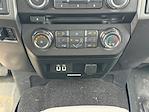 2017 Ford F-250 Crew Cab 4x4 Pickup for sale #25FE0851B - photo 14