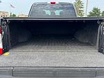 2017 Ford F-250 Crew Cab 4x4 Pickup for sale #25FE0851B - photo 6