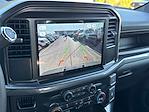 New 2025 Ford F-150 STX Super Cab 4x4 Pickup for sale #25FE0940 - photo 21