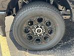 2025 Ford F-350 Crew Cab SRW 4x4 Pickup for sale #25FE1017 - photo 6