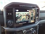 2025 Ford F-150 SuperCrew Cab 4WD Pickup for sale #25FE1105 - photo 24