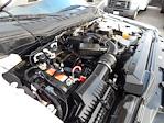 Used 2020 Ford F-250 Regular Cab for sale #056A-33398 - photo 23