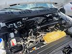 Used 2019 Ford F-150 Regular Cab for sale #070A-09449 - photo 23