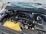 Used 2019 Ford F-150 Regular Cab for sale #070A-09449 - photo 24