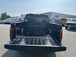 New 2024 Ford F-150 XLT SuperCrew Cab 4x4 Pickup for sale #24878 - photo 11