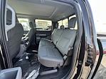 New 2024 Ford F-150 XLT SuperCrew Cab 4x4 Pickup for sale #24878 - photo 14