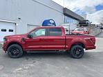 2025 Ford F-150 SuperCrew Cab 4x4 Pickup for sale #25197 - photo 6