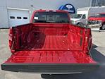 2025 Ford F-150 SuperCrew Cab 4x4 Pickup for sale #25202 - photo 11
