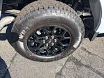 2025 Ford F-150 SuperCrew Cab 4WD Pickup for sale #25247 - photo 10