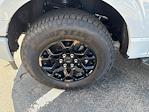 2025 Ford F-150 SuperCrew Cab 4WD Pickup for sale #25247 - photo 12