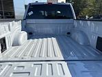 2025 Ford F-150 SuperCrew Cab 4WD Pickup for sale #25247 - photo 16