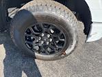2025 Ford F-150 SuperCrew Cab 4WD Pickup for sale #25247 - photo 9