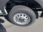2025 Ford Transit 250 Low Roof AWD Empty Cargo Van for sale #25269 - photo 12